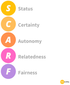visualisation of the acronym SCARF