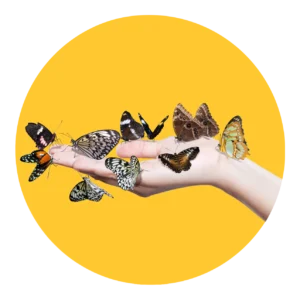 Change Management training logo