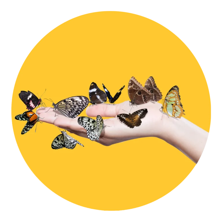 Change Management training logo