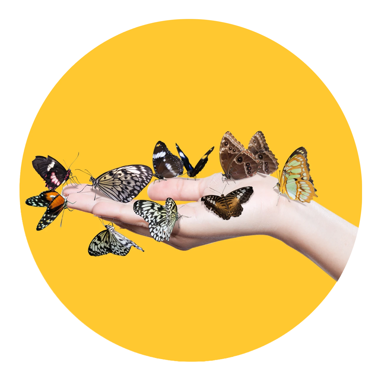 Change Management training logo